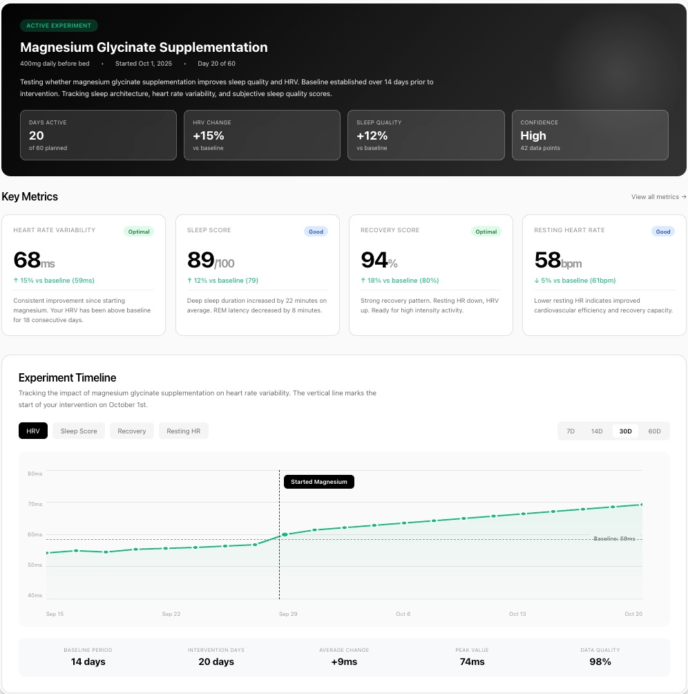 meports Dashboard - Active Experiment Tracking